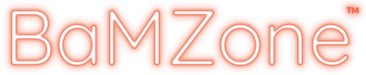 bamzone logo